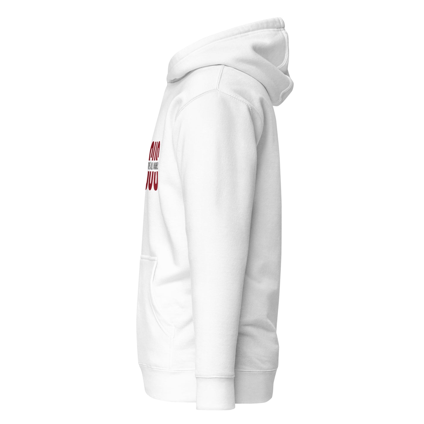 Jesus Name Unisex Hoodie